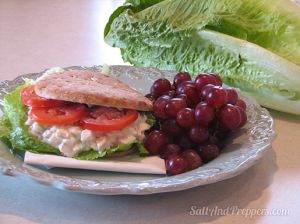 THRIVE Freeze Dried Chicken Salad Sandwiches